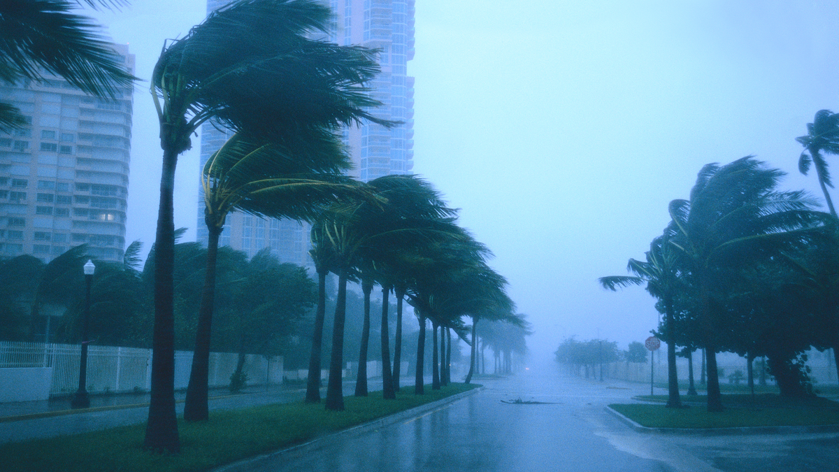 Safeguarding what matters: the importance of a safe during natural disasters
