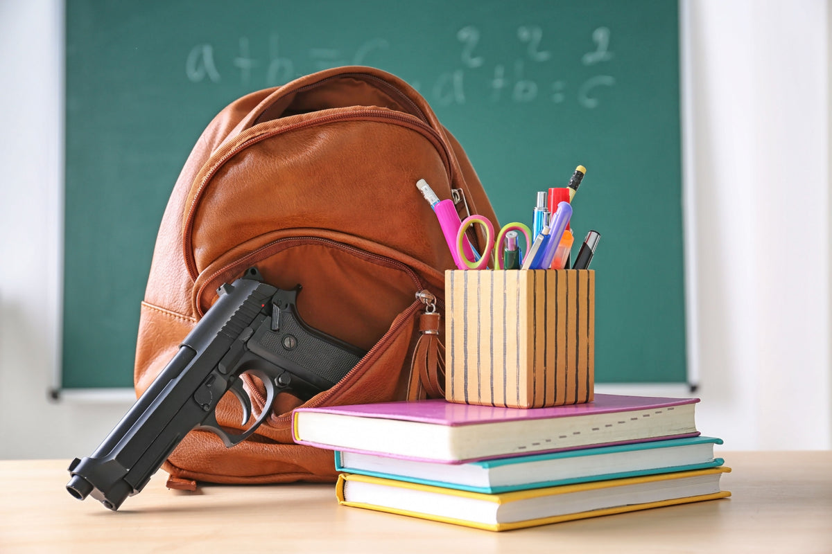 Gun owners play a key role in american gun violence crisis in schools