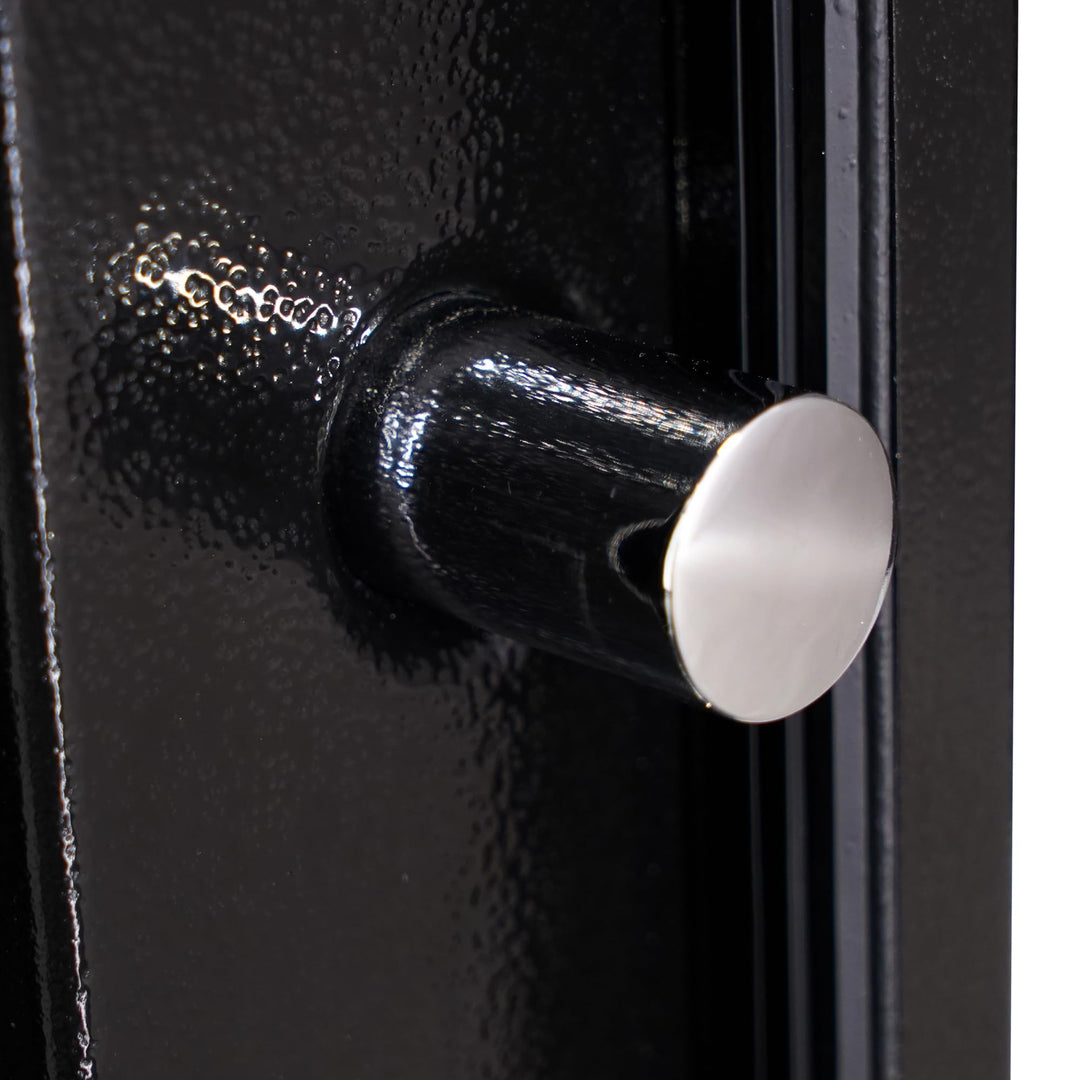 Cannon Director Series 60-Min Fireproof Home Safe