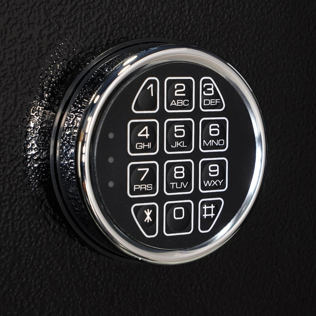 Cannon Director Series 60-Min Fireproof Home Safe